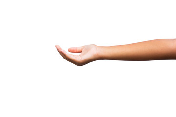 Woman's hands isolated on transparent background.