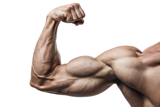 Muscular Portrait: Strong, with Powerful Arms