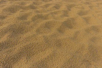 Fototapeta na wymiar Yellow beige beach sand abstract nature pattern texture background