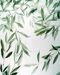 Willow Leaf Plant Background