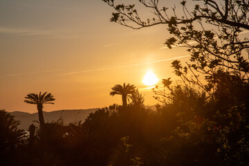 奄美, 島の日の出,
