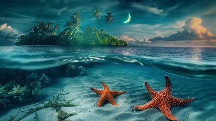 Fototapeten Scenic Beach with island and coconut trees with two starfishes under water at night with stars and crescent moon © Maizal