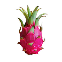Dragon fruit resembling pineapple on transparent background, from Rose family