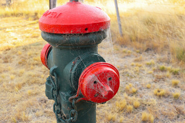 old red fire hydrant covered in cobwebs in grass