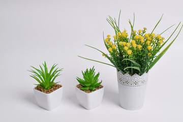 Set of artificial plants in pots isolated on white background. Interior decoration