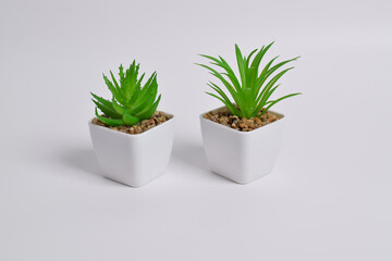 Plastic green plants in pots. Fake plant in a pot isolated on a white background. Interior...