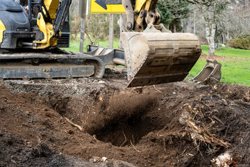 Excavator with large bucket dropping dirt into a hole where tree stump was removed, road construction project
