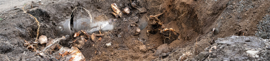 Road construction and excavation project, digging up stump and cracked cement pipe
