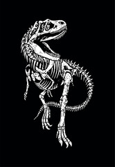 Vector illustration of fossil tyrannosaurus rex.