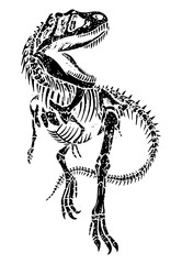 Vector illustration in free traces of tyrannosaurus rex fossil.