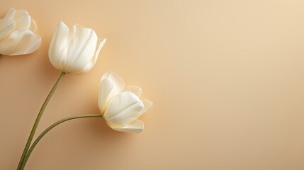 A serene beige colored tulip texture forms a tranquil background