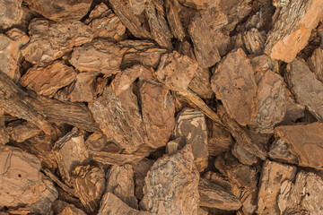 Small decorative pieces of dry tree bark brown color natural background texture