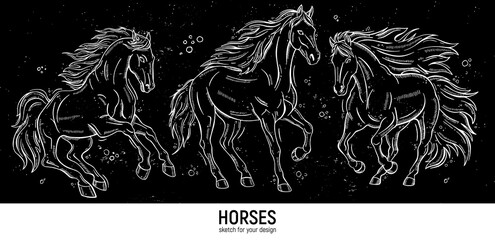 Set of hand-drawn horses sketches. - obrazy, fototapety, plakaty