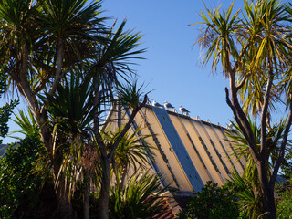Three seagulls on top of a roof between trees
