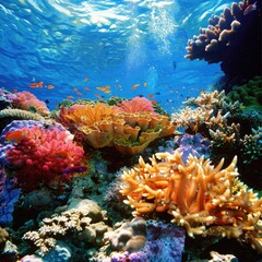 Fototapeta na wymiar A colorful coral reef with many different types of fish and plants