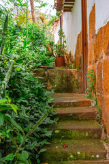 Serene garden pathway in Barichara, Santander, Colombia, showcasing nature’s beauty amidst rustic charm