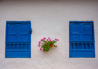 Bright blue colonial style windows on a white wall, adorned with vibrant pink flowers in Barichara,...