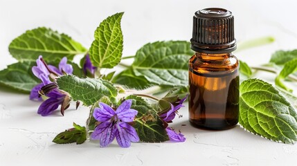 In a studio clean backdrop comfrey herb Symphytum officinal with a essential oil bottle with a big space for text or product, Generative AI. - obrazy, fototapety, plakaty