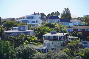 A hillside covered in houses in Auckland, New Zealand