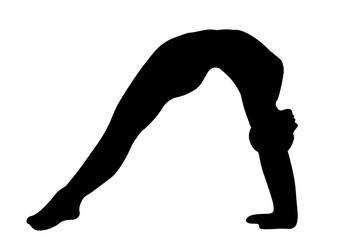 silhouette woman in yoga movements pilates body exercise vector image isolated on white transparent background