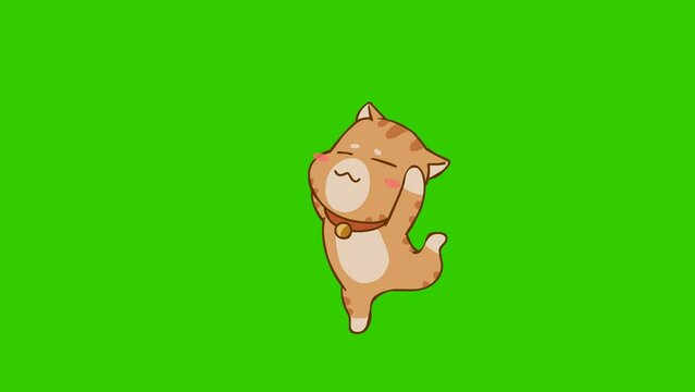 funny cat animation on green screen