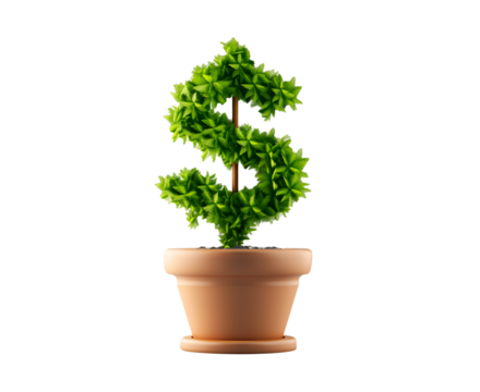 green plant in dollar sign shape growing in pot