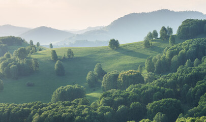 Evening light and spring greenery of hills and mountain slopes
