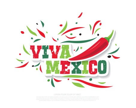 Mexican banner layout design. Viva Mexico holiday, vector illustration