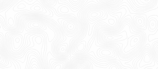 Panorama view gradient multicolor wave curve lines banner background design. Vector illustration. wave Line topography map contour background .Abstract Topographic map background with wave line.