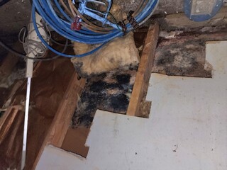 water damage black mold in wall