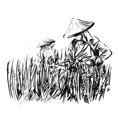 Drawing of Rice harvesting on a plantation in Vietnam