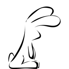 Obraz premium Hase