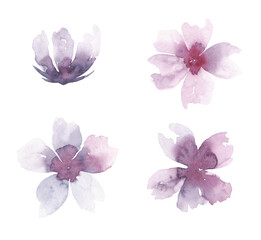 A set of painted watercolor pink lilac cherry blossoms, almonds isolated on a white background. Botanical illustration of delicate textured flowers. An element for design, decoration, celebration