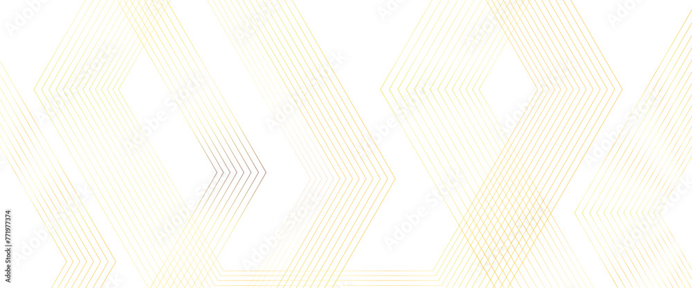 Poster vector white abstract background with golden lines, white transparent background with gold outline d