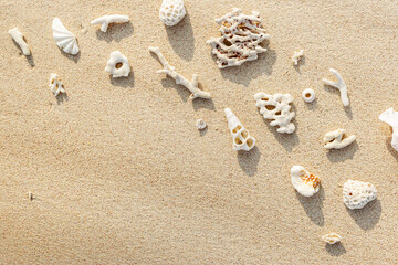 Seashells and corals on sandy beach. Stylish minimal layout from found shells and coral on ocean shore. Summer relahation concept, beach vibes. Top view nature background, copy space, pale tones