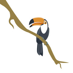 Naklejka premium Toucan bird cartoon character. Cute toucan flat vector isolated on white. South America fauna. Guinea pig icon.