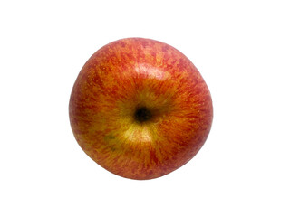 【PNG透過】日本の甘くて美味しいふじリンゴ