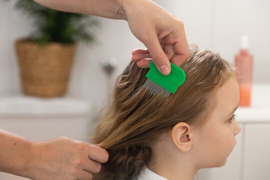 A woman helps to get rid of lice and parasites on the head of a little girl, combs her head with a special comb. Treatment of lice and nits