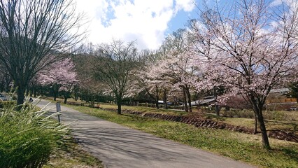 駒ヶ根高原家族旅行村キャンピングリゾート駒ヶ根
