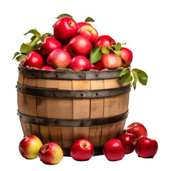 Apples in a wooden barrel