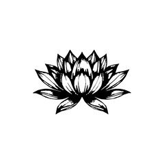 Lotus icons set. Simple lotus icon. Lotus flower symbol vector
