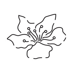 Sakura line icon. Linear Japanese cherry blossom symbols isolated on a white background. Spring vector illustration