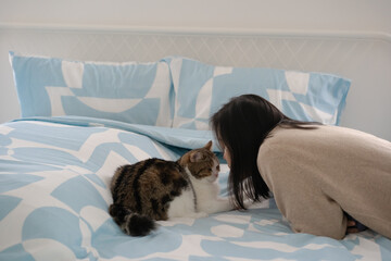 pet care concept with asian woman play with scottish tabby cat on bed with happy feeling