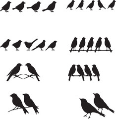 Simple vector logo of the pitch black  birds pack icon