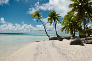 Beach on the tropical island with leaning palm trees