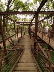 wooden bridge in the forest