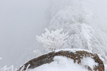 冬の石鎚山山頂の天狗岳
