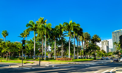 Palm trees at Fort DeRussy Beach Park in Honolulu - Oahu Island, Hawaii