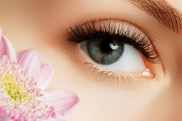 Female Eye with Extreme Long False Eyelashes. Eyelash Extensions. Makeup, Cosmetics, Beauty. Close up, Macro - obrazy, fototapety, plakaty