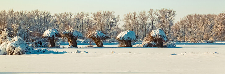 Winter wonderland view near Kurzenisarhofen, Deggendorf, Bavaria, Germany